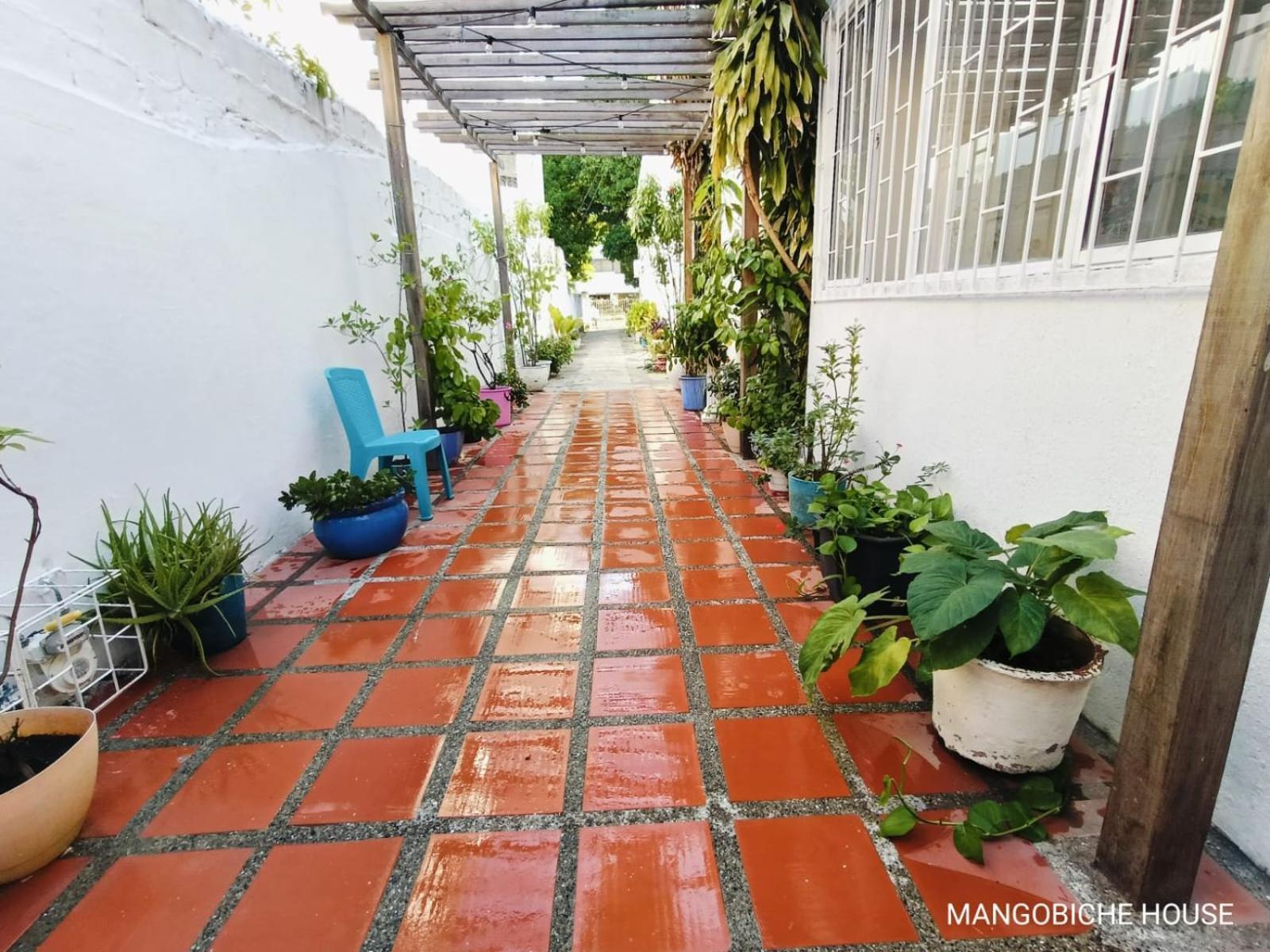 مبيت وإفطار Cartagena Mango Biche - House المظهر الخارجي الصورة